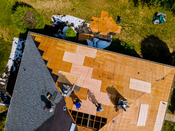 Best Residential Roofing Contractor  in La Homa, TX
