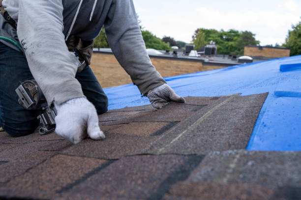 Best Local Roofing Companies  in La Homa, TX